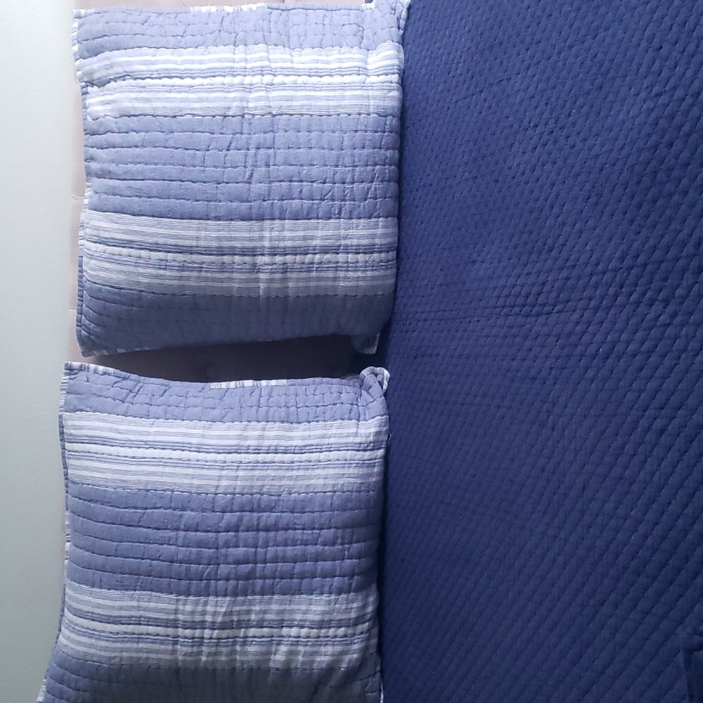 Pure Luxury Linen Stripe Euro Shams